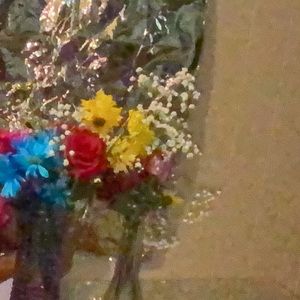 Meet your Posher, Jocelyn